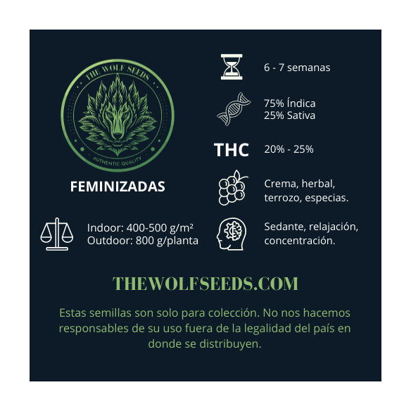 ALPHA BLUE F1 FEM X3+1-THE WOLF SEEDS