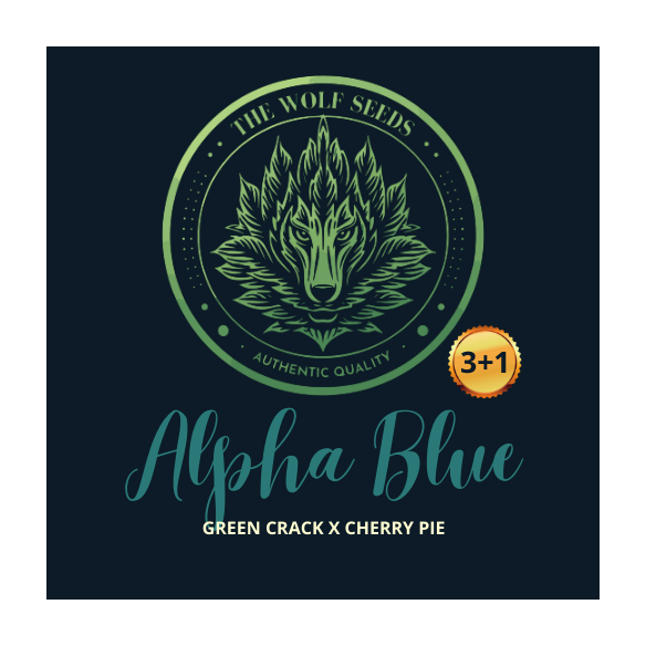 ALPHA BLUE F1 FEM X3+1-THE WOLF SEEDS