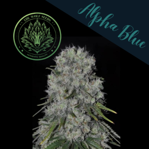 ALPHA BLUE F1 FEM X3+1-THE...