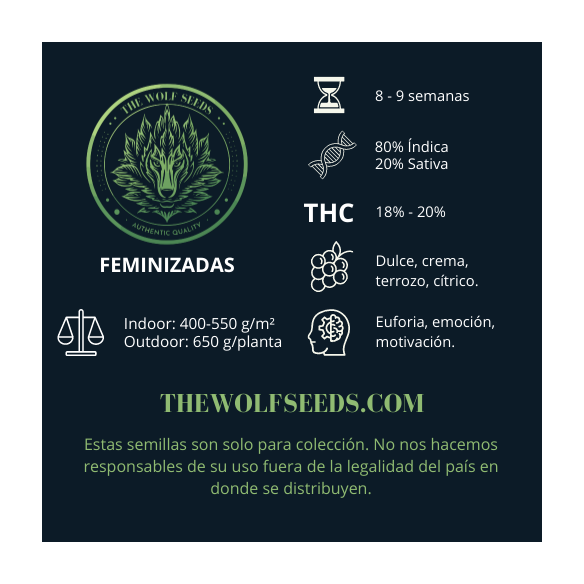 WILD TIMBER F1 FEM X3+1-THE WOLF SEEDS