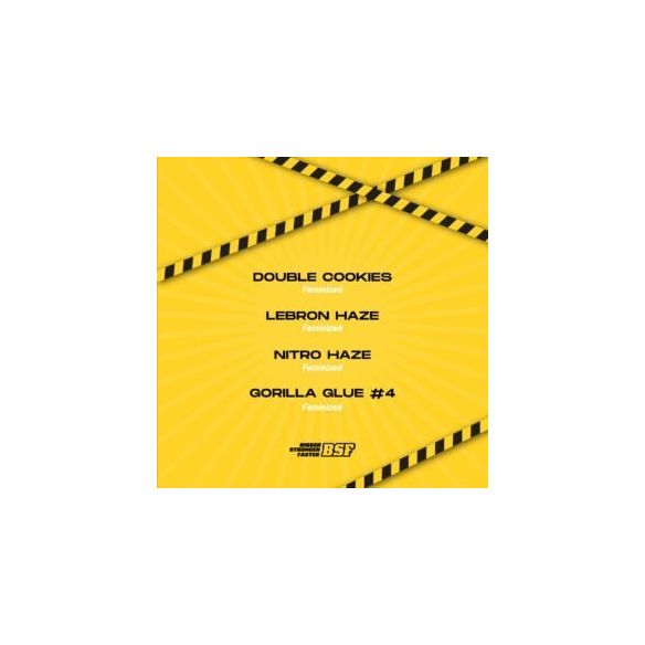 HIGH VOLTAGE MIX FEM X12-BSF