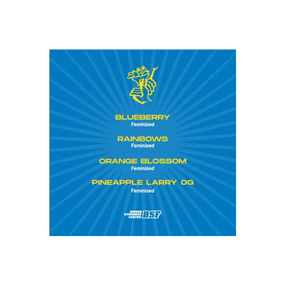 TUTTI FRUTTI MIX FEM X12-BSF