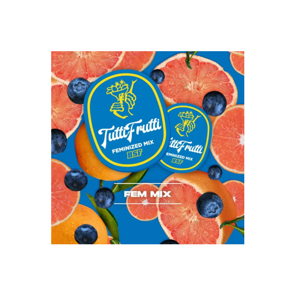 TUTTI FRUTTI MIX FEM X12-BSF