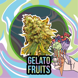 GELATO FRUITS AUTO...