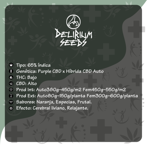 MEDICAL CBD AUTO X1-DELIRIUM SEEDS