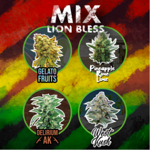 MIX LION BLESS AUTO...