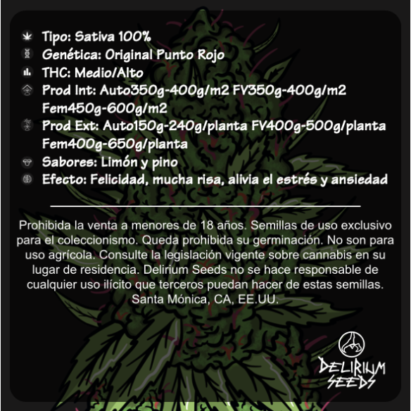 PUNTO ROJO AUTO X4-DELIRIUM SEEDS