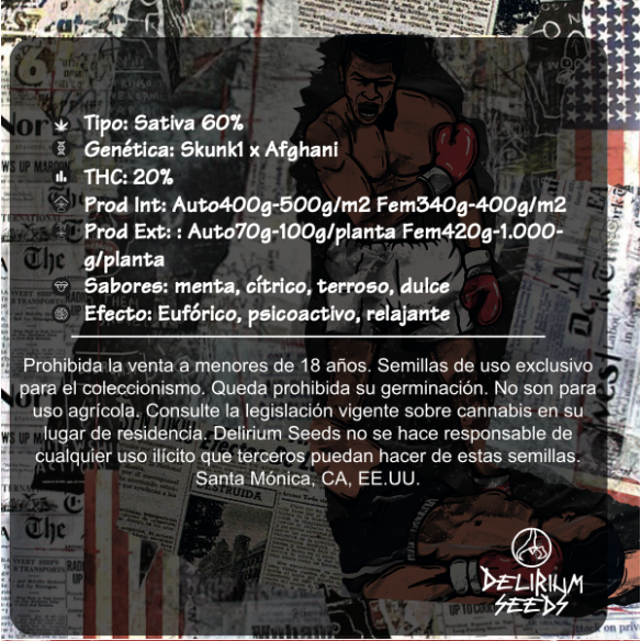 SKUNK POP CULTURE AUTO X2-DELIRIUM SEEDS