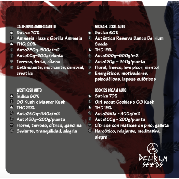 MIX HOLLYWOOD VIBE AUTO X8-DELIRIUM SEEDS