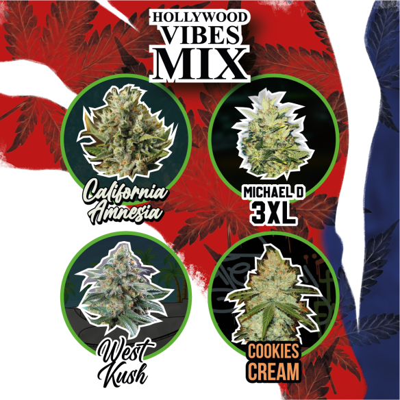 MIX HOLLYWOOD VIBE AUTO X8-DELIRIUM SEEDS