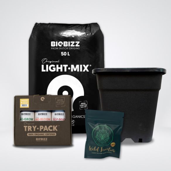 KIT MEDIO LIGHT MIX FEM