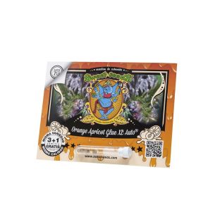 ORANGE APRICOT GLUE XL...