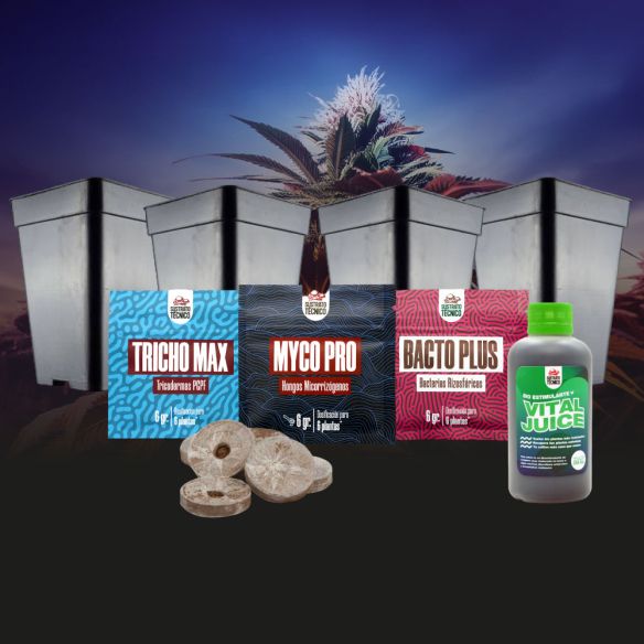 PACK GERMINACIÓN EXPERTO