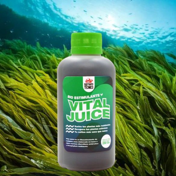 VITAL JUICE BIO ESTIMULANTE 250ML-SUSTRATO TECNICO
