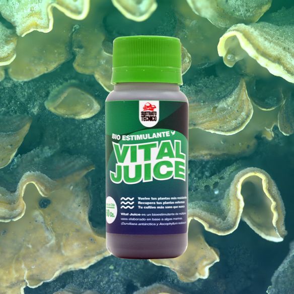 VITAL JUICE BIO ESTIMULANTE 60ML-SUSTRATO TECNICO