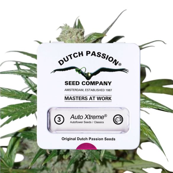 XTREME  AUTO X3-DUTCH PASSION