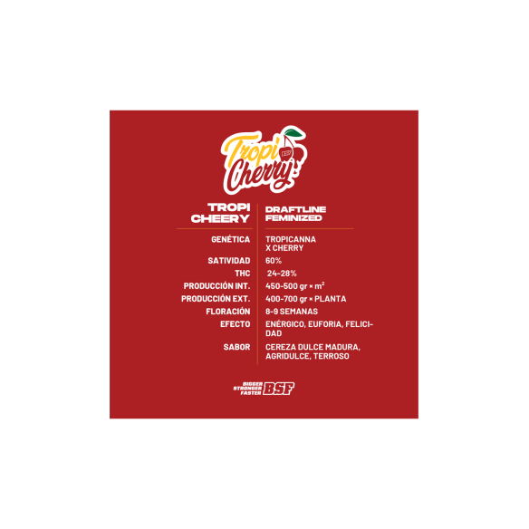 TROPI CHERRY X4 - BSF