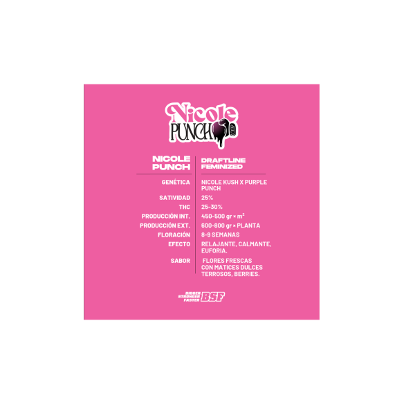 NICOLE PUNCH X2 - BSF
