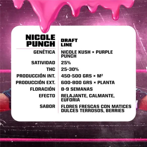 NICOLE PUNCH FEM X2-BSF