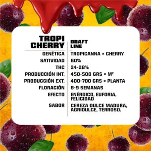 TROPI CHERRY FEM X2-BSF