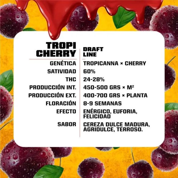 TROPI CHERRY FEM X4-BSF