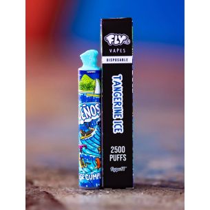 VAPORIZADOR 2500 TANGERINE...