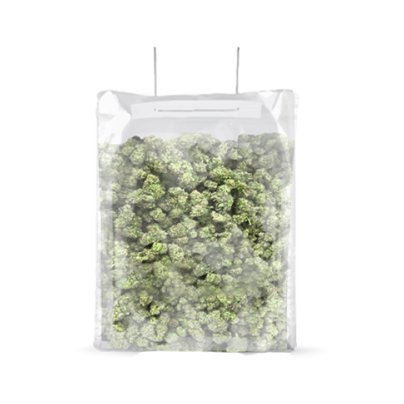 BOLSA TERPLOC TERPY BAG 0,5-1 KG-GROVE BAGS