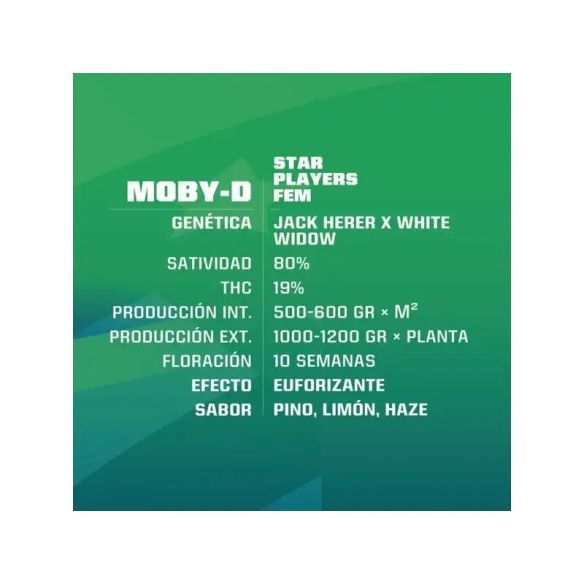 MOBY-D FEM X4-BSF