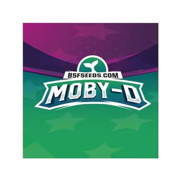 MOBY-D FEM X4-BSF
