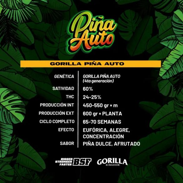 GORILLA PIÑA AUTO X4-BSF