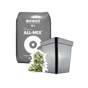 KIT MEDIO ALL MIX AUTO