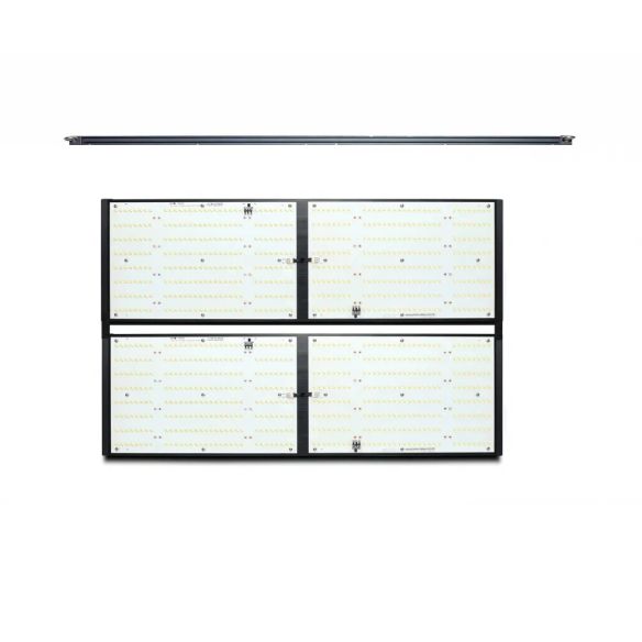 LED QUANTUM Q480W- PIRANHA