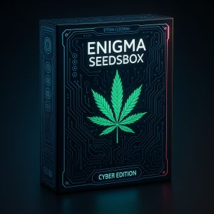 SEEDS BOX XS X100- ENIGMA