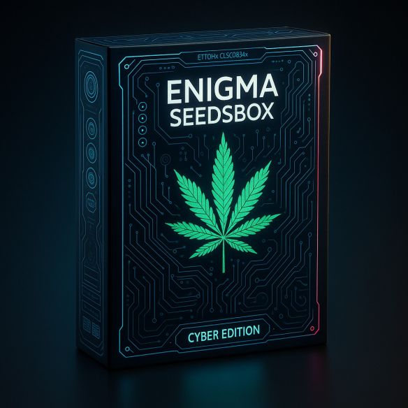 SEEDS BOX XS X100- ENIGMA