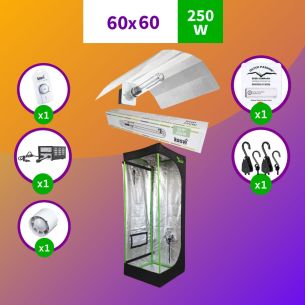 PACK SODIO INDOOR 60X60...