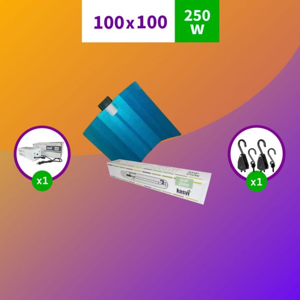 PACK SODIO 250W- KASVI