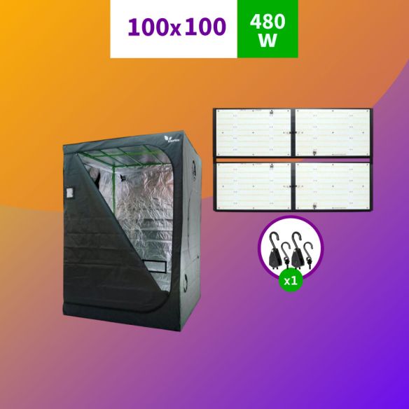 KIT INDOOR  PROFESIONAL APOLLO INICIAL 100X100X200 - 480W