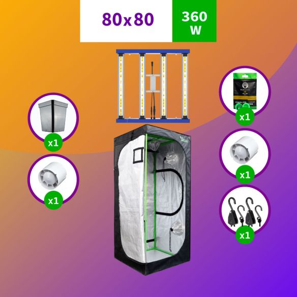 KIT INDOOR PROFESIONAL APOLLO MEDIO 80X80X160 - 300W