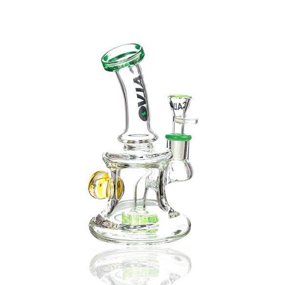 RIG DRAGON BALL Z GREEN-CALVO GLASS