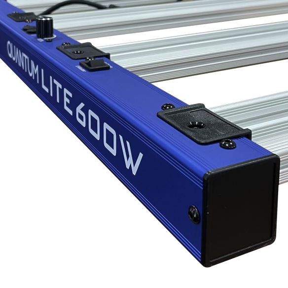 QUANTUM LITE 600W-DELIGHT