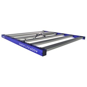 QUANTUM LITE 600W-DELIGHT