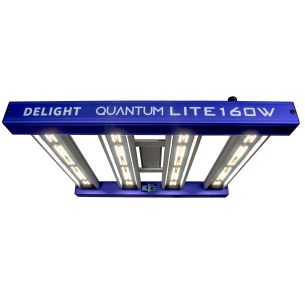 QUANTUM LITE 160W-DELIGHT