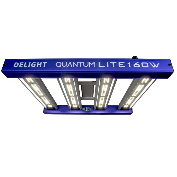 QUANTUM LITE 160W-DELIGHT