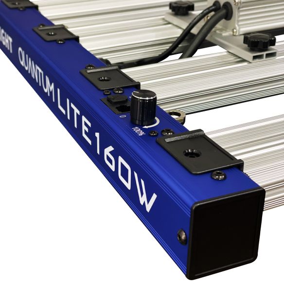 QUANTUM LITE 160W-DELIGHT