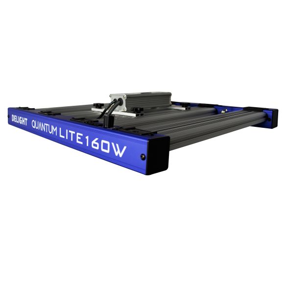 QUANTUM LITE 160W-DELIGHT