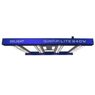 QUANTUM LITE 240W-DELIGHT