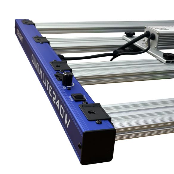 QUANTUM LITE 240W-DELIGHT