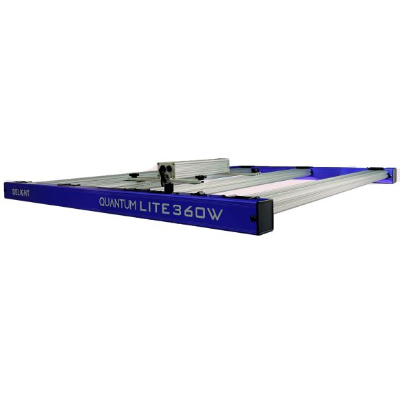 QUANTUM LITE 360W-DELIGHT