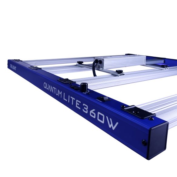 QUANTUM LITE 360W-DELIGHT