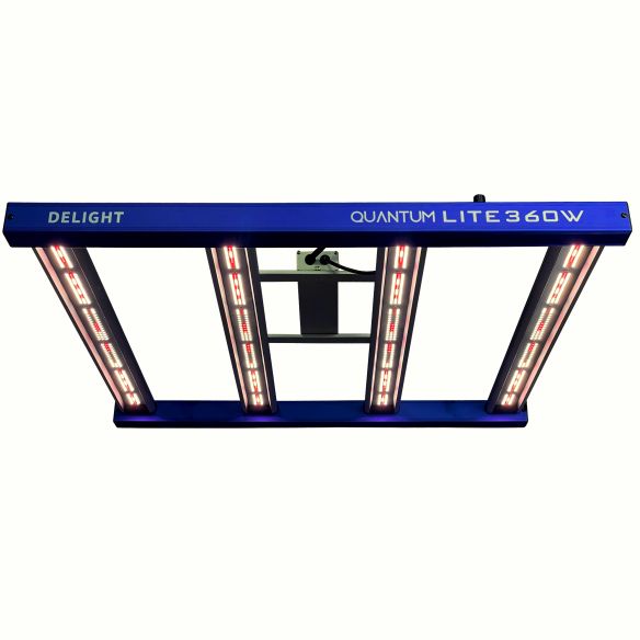QUANTUM LITE 360W-DELIGHT